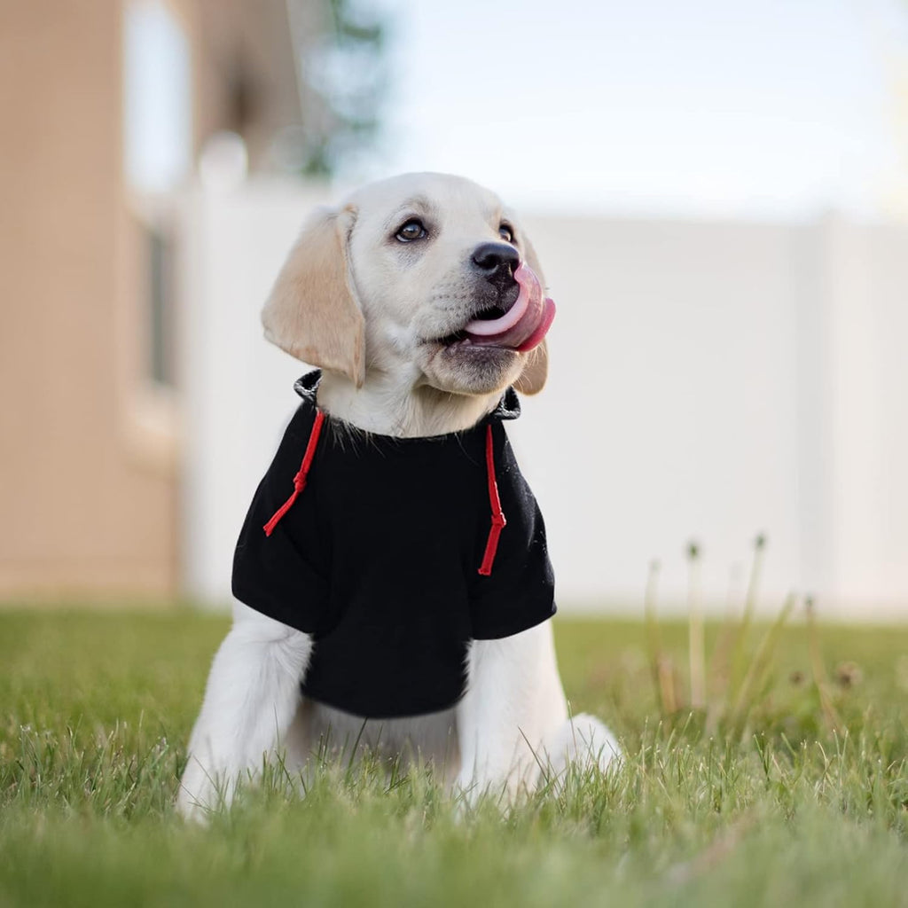 SAWMONG Dog Hoodie,Flannel Pet Hooded Sweater with Hat Puppy Pullover Sweater Shirt,Dog (Black,M)