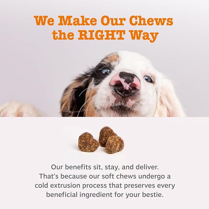 Zesty Paws Dog Allergy Relief Chews, Dog Probiotics - Image 7