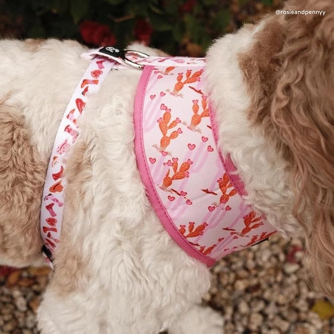 Lucy & Co. Little Lamb Dog Collar - Image 3