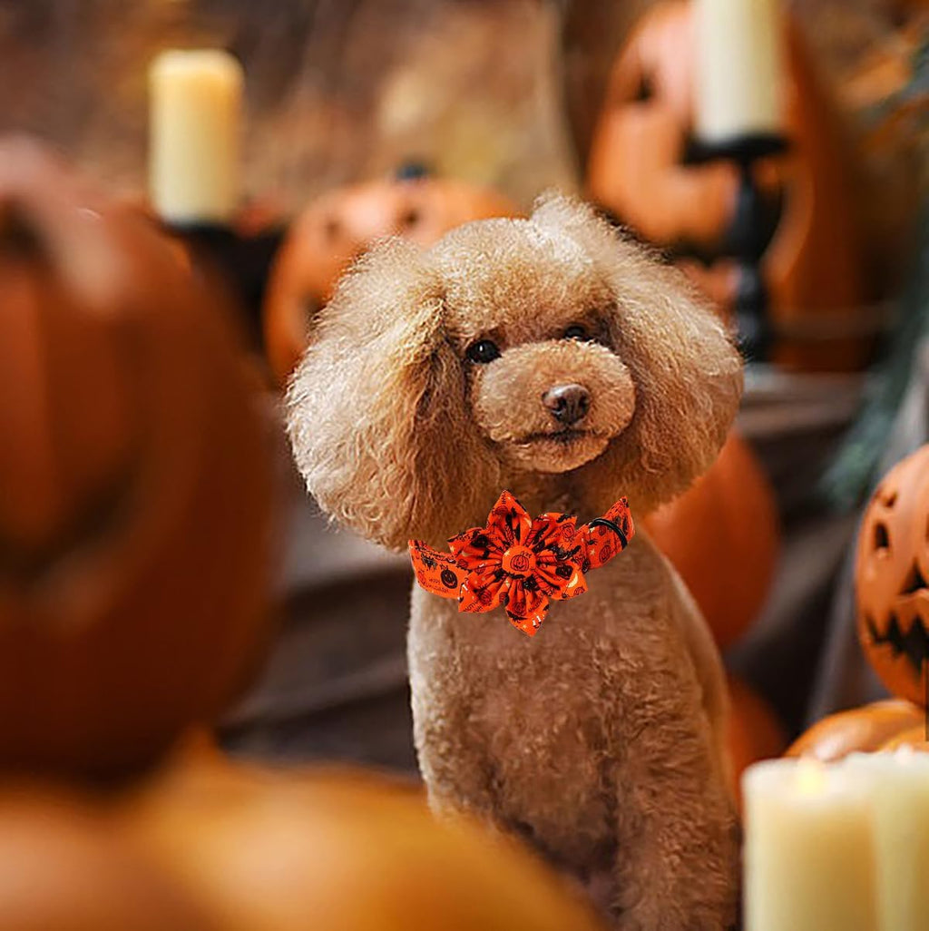 Lionet Paws Halloween Dog Collar with Flower, Cute Fall Orange Dog Collar for Small Dogs, Adjustable Cotton Pumpkin Bat Pet Collars Puppy Collar for Girl Dogs