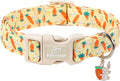 Easter Dog Collar for Large Dogs by Babolepet