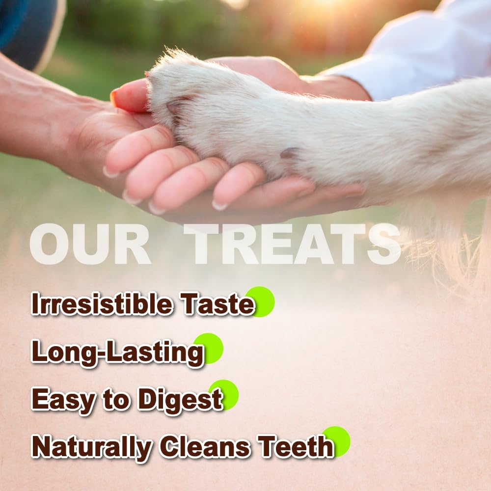 Afreschi Turkey Tendon Dog Treats, 8 oz Braid (for Medium Breeds), USA-Sourced Turkey Tendon, All Natural Puppy Chew, Hypoallergenic, Rawhide Alternative