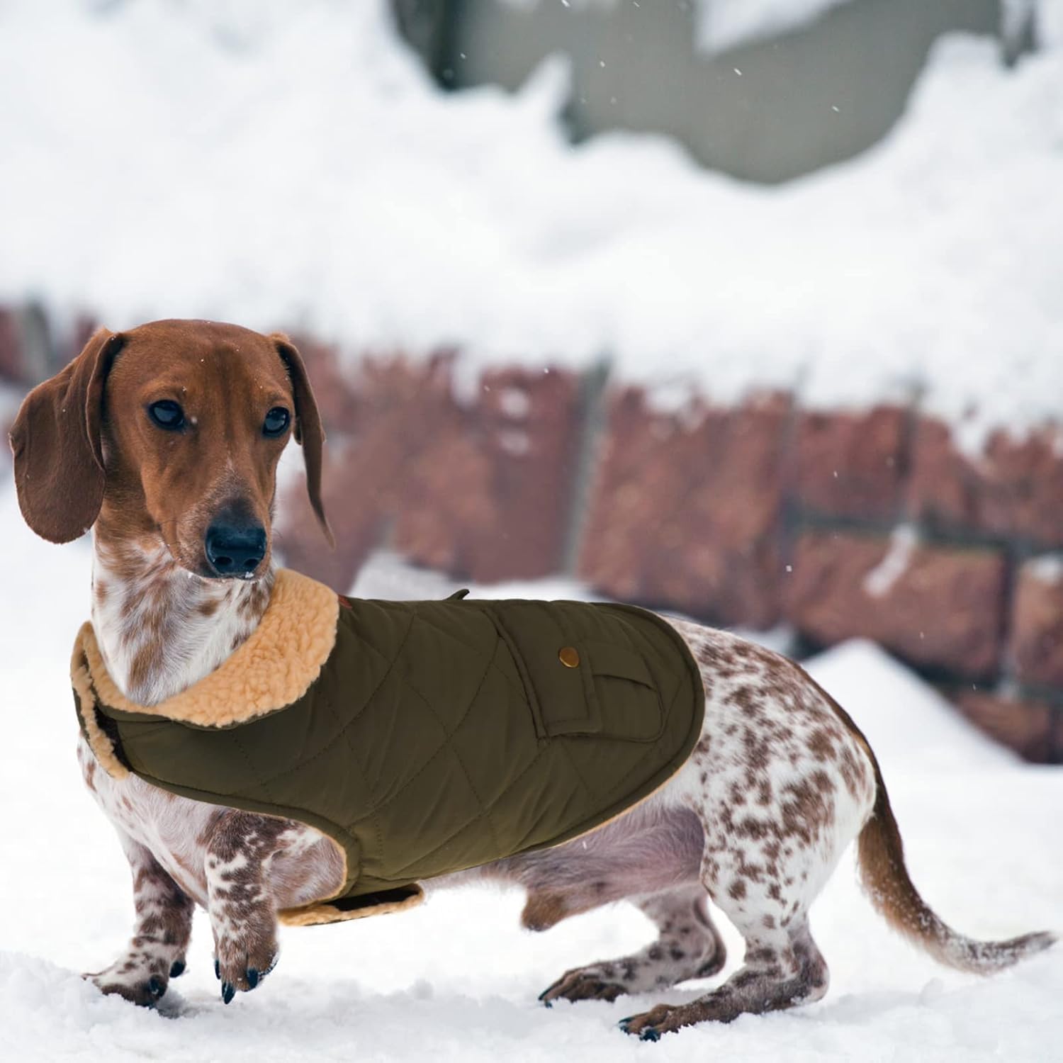 Queenmore Warm Coat for Cold Weather, Quilting Winter Jacket With Ultra Thick Plush Lining and Storage Pockets (Green, Medium)