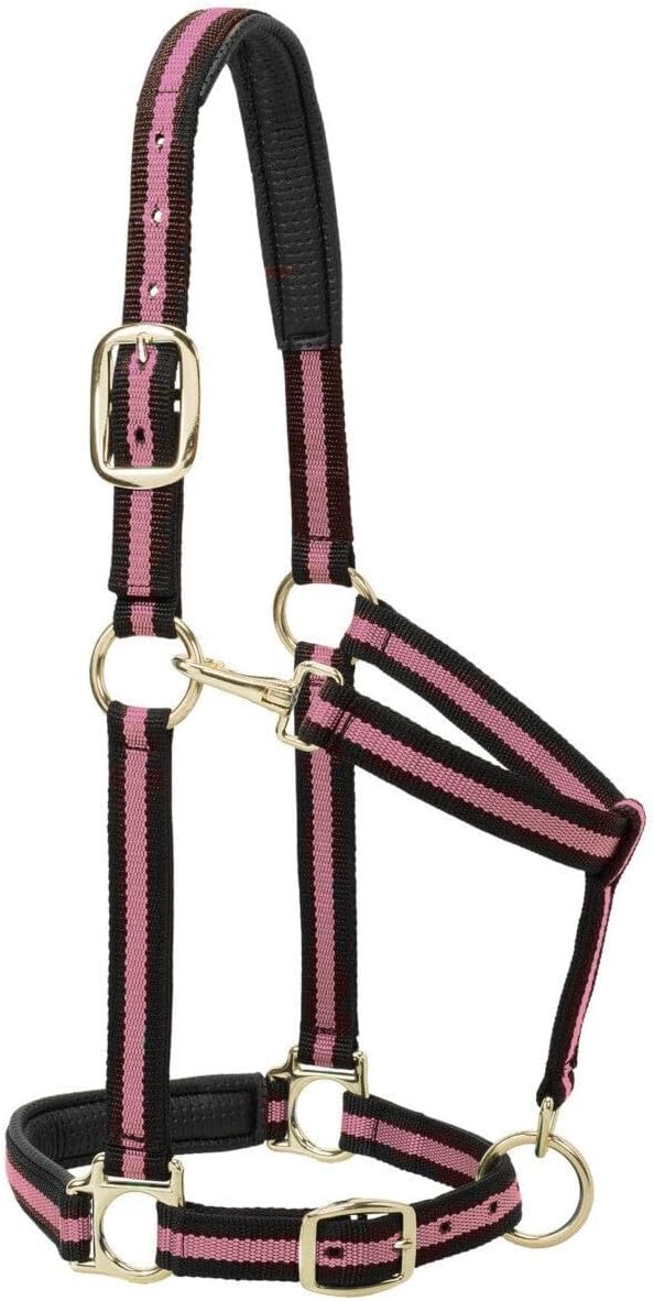 Weaver Equine Nylon Horse Halter, Triple-Ply Cheek Design, Original Non Adjustable Halters for Horses, Equine Tack,Average Size, Black