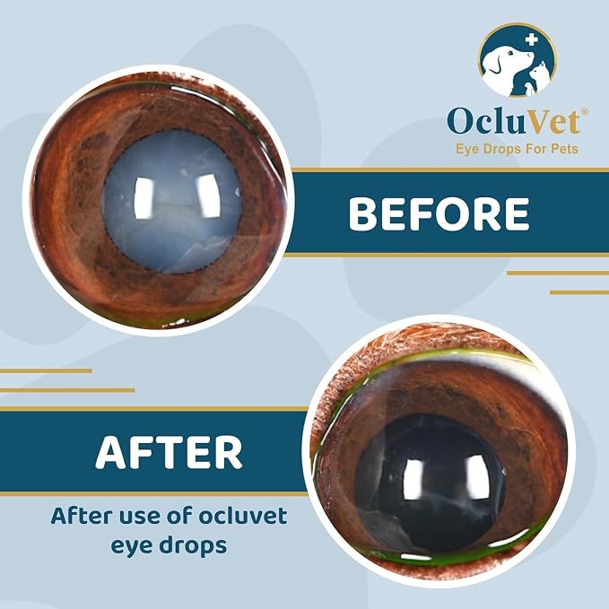 Eye Drops for Pets | Clinically Studied Antioxidants for Pets | Made in The USA - Image 3