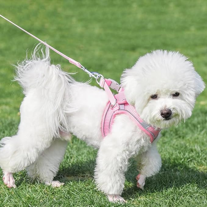 AIITLE Easy Walk Dog Harness and Leash Set - Image 8