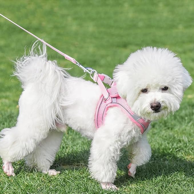 AIITLE Small Harness for Puppy - Image 2