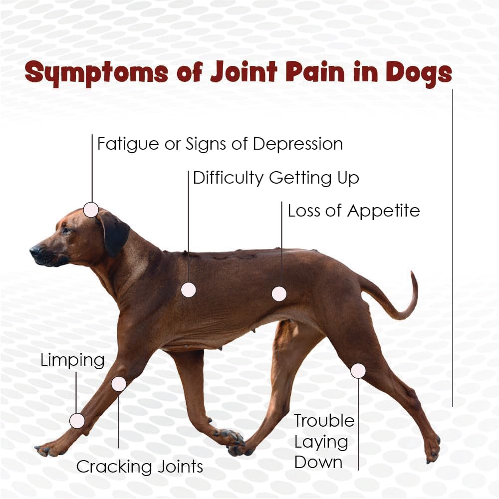 PHS Joint MAX Triple Strength (TS) Chewable Tablets for Dogs - Glucosamine, Chondroitin, MSM - Vitamins, and Antioxidants - Hip and Joint Pain Relief and Support Supplement - Made in USA - 120 Tablets