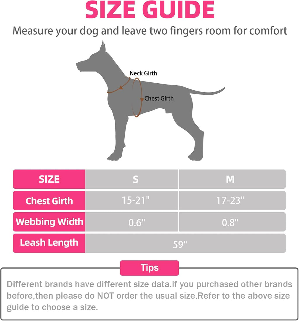 PUPTECK No Pull Dog Harness Soft Adjustable Basic Nylon Step in Puppy Vest Outdoor Walking with Leash