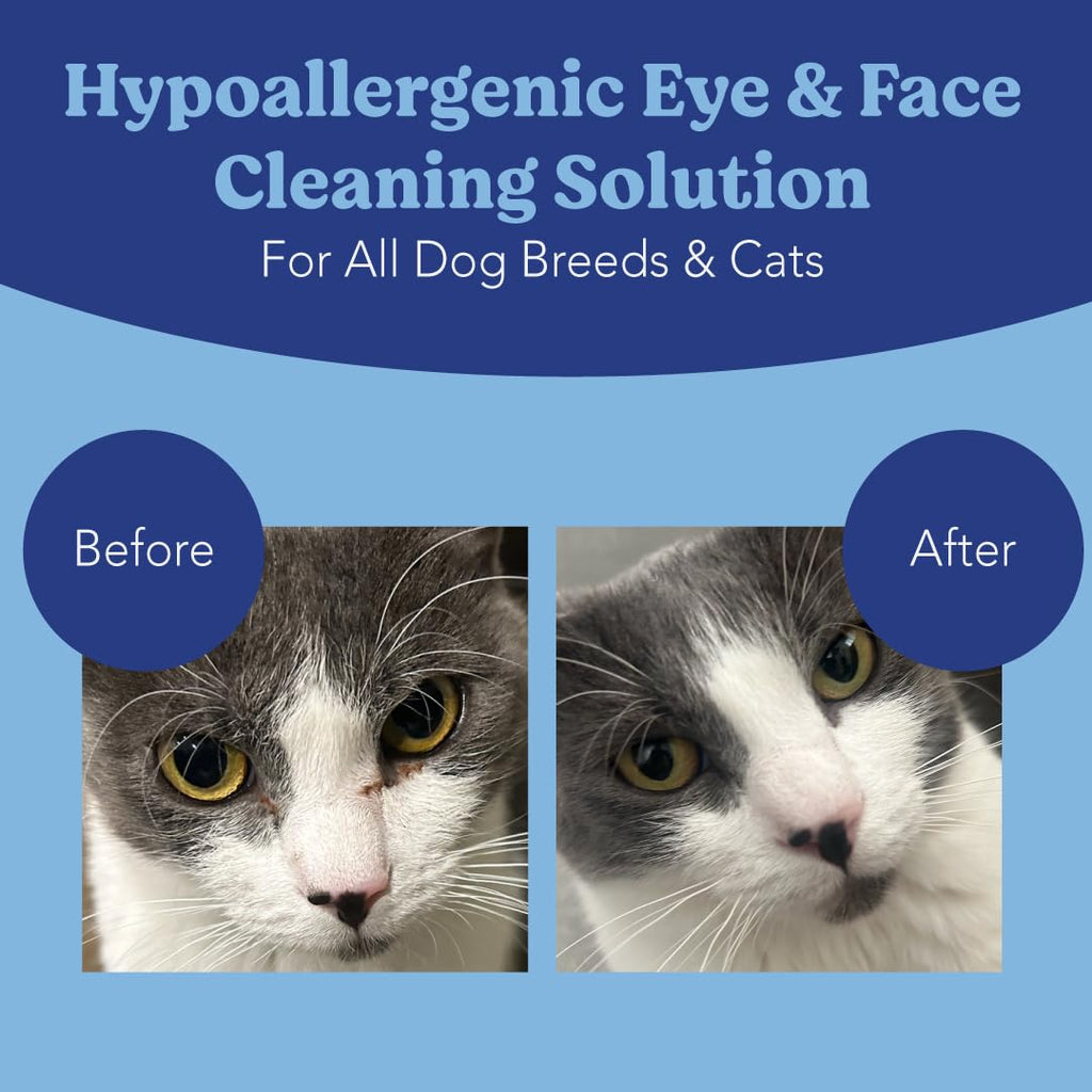 ANGELS' EYES Gentle Tear Stain & Pet Eye Wipes for All Dogs & Cats Textured Grooming Wipes Remove Discharge & Mucus, Reduce Tear Stains, Hypoallergenic with Aloe & Chamomile, 100ct