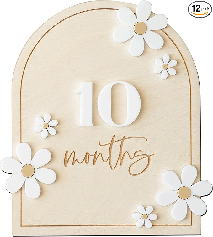 Daisy 3D Baby Monthly Milestone, Wooden Baby Milestone Signs, Monthly Milestone Wood Discs, Baby Milestone Discs (Daisy)