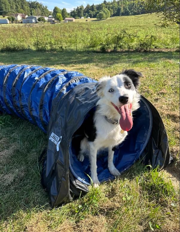 Better Sporting Dogs 16 Foot Heavy Duty PVC Tunnel - Image 3