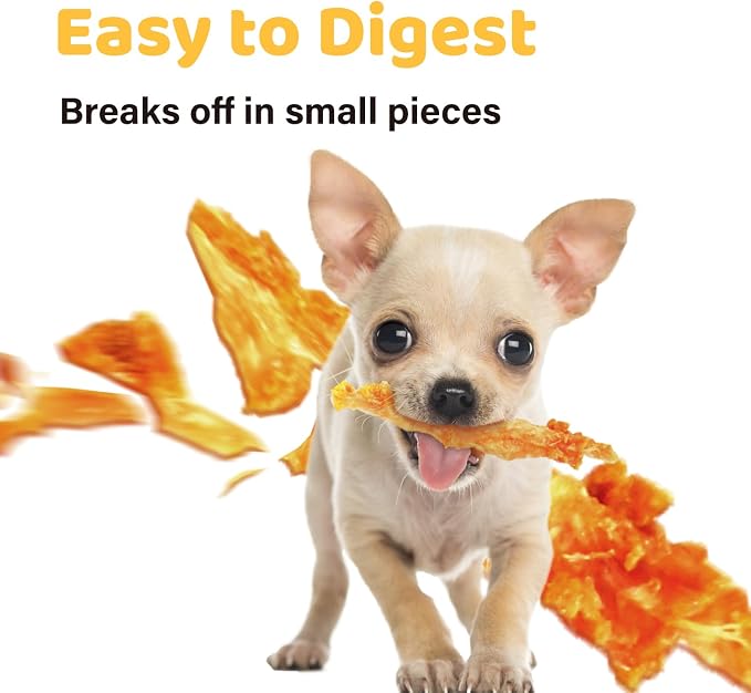 iPaw Turkey Tendon for Dogs 40 Pcs Bulk Pack, Ingredient Sourced from USA - Image 5