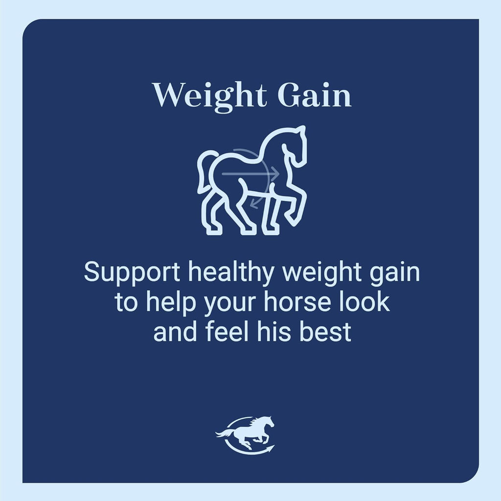 Smart & Simple 99% Fat | Horse Weight Gain Supplement Supports Ideal Body Condition in Horses | Easy to Use & Tasty High Fat Supplement Powder | 112 Servings | 14 lb Bag