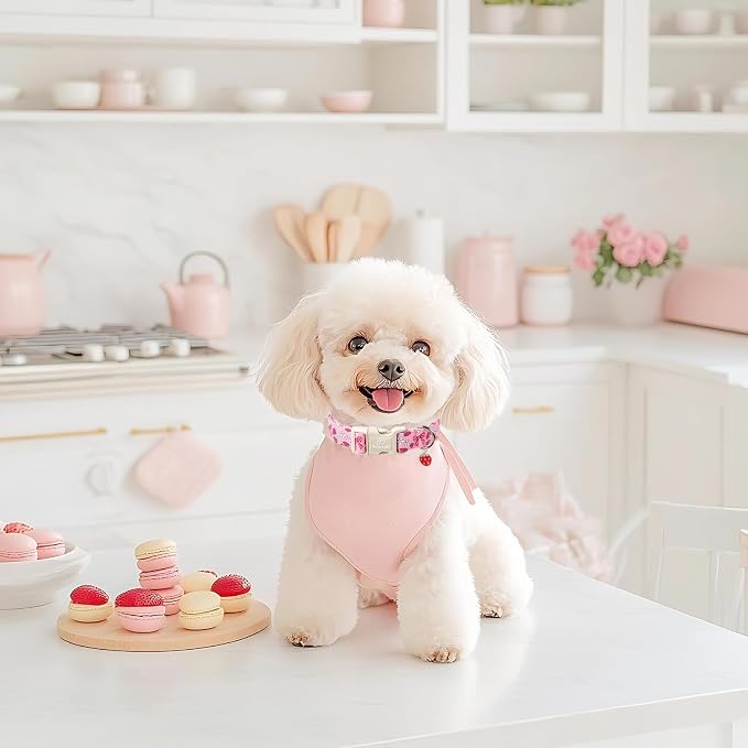 Strawberry Bow Dog Collar for Large Dogs - Image 6
