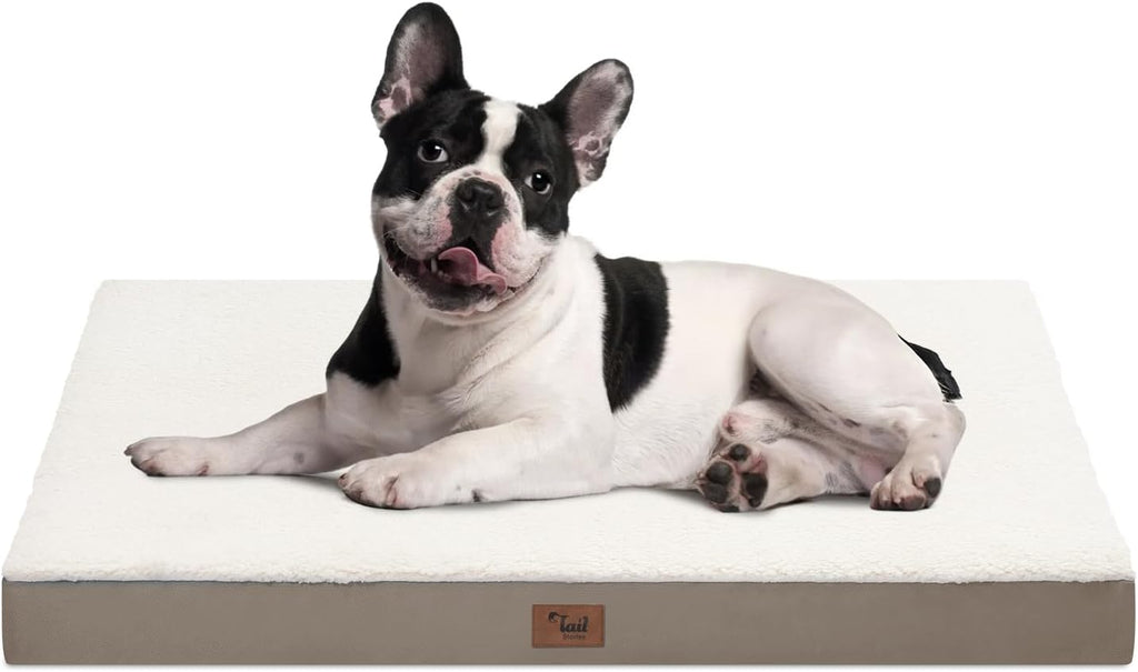 Medium Dog Bed for Medium/Small Dogs, Orthopedic Dog Beds with Removable Washable Waterproof Cover, Egg Crate Foam Pet Bed Mat, Khaki White
