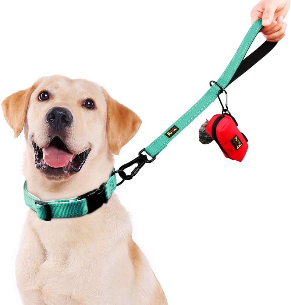 PLUTUS PET Short Training Dog Leash with Padded Handle for Medium Large Dogs,18 Inch Heavy Duty Strong Traffic Leash with Carabiner Clip for Climbing Walking or Guiding Blind(18”，Teal)