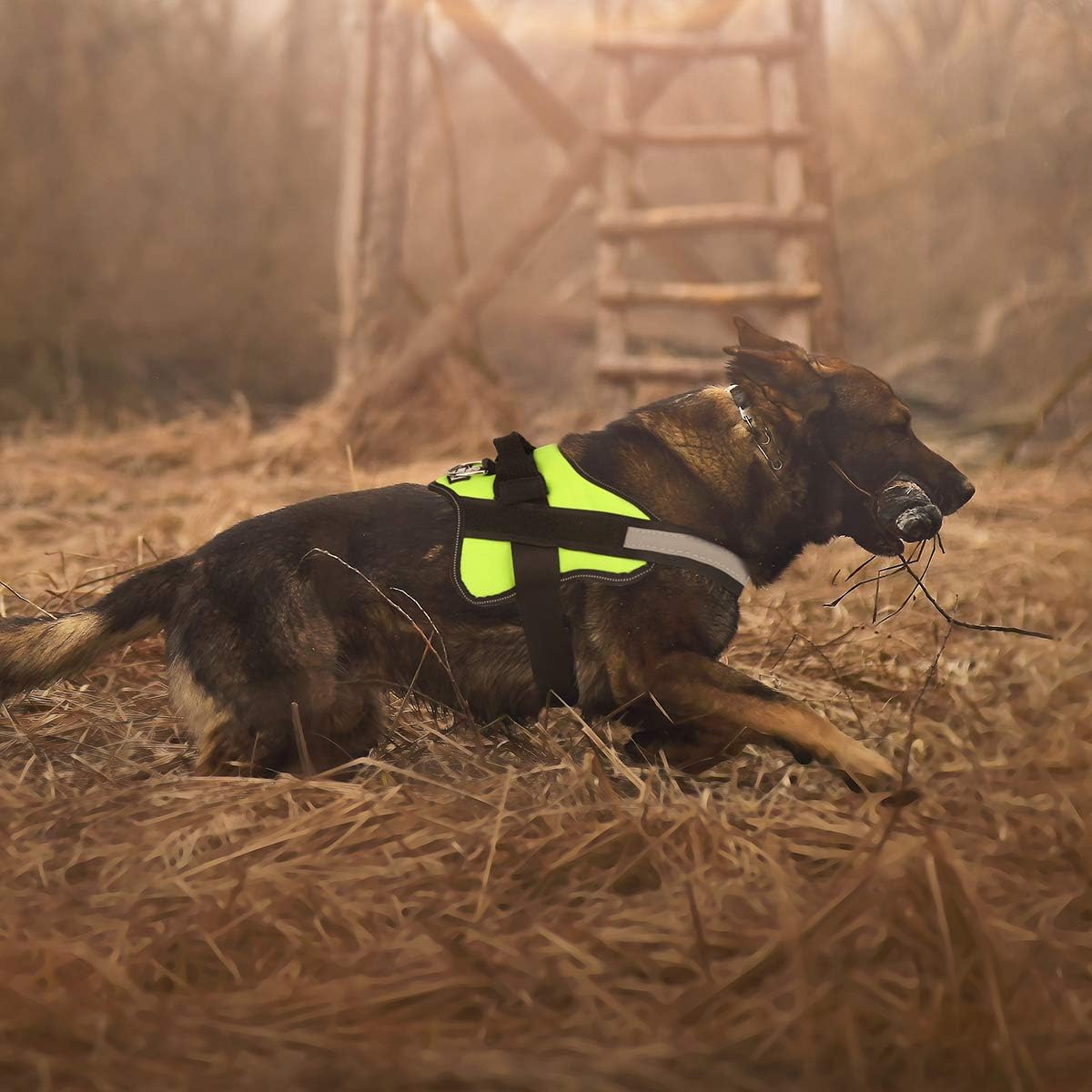 Bolux Dog Harness, No-Pull Reflective Dog Vest, Breathable Adjustable Pet Harness with Handle for Outdoor Walking - No More Pulling, Tugging or Choking (Green, M)