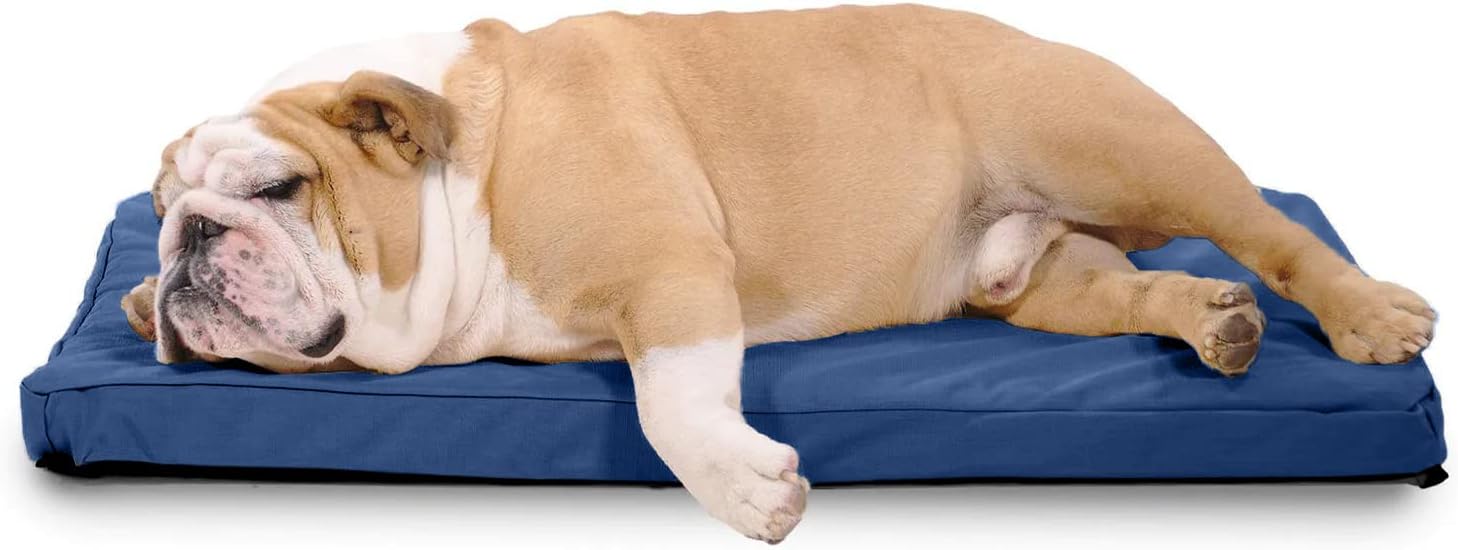 K9 Ballistics Tough Ripstop Orthopedic Dog Crate Bed - Durable Pad with Washable Cover, for Wire Crates, Tie-Downs Included, Size: Medium 35"x22", Blue Quartz