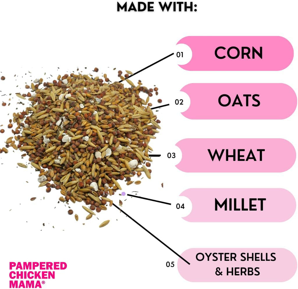 Pampered Chicken Mama Chick Feed - Premium Chicken Scratch Treat - High Protein & Calcium Grower Feed for Laying Hens (10 lbs)