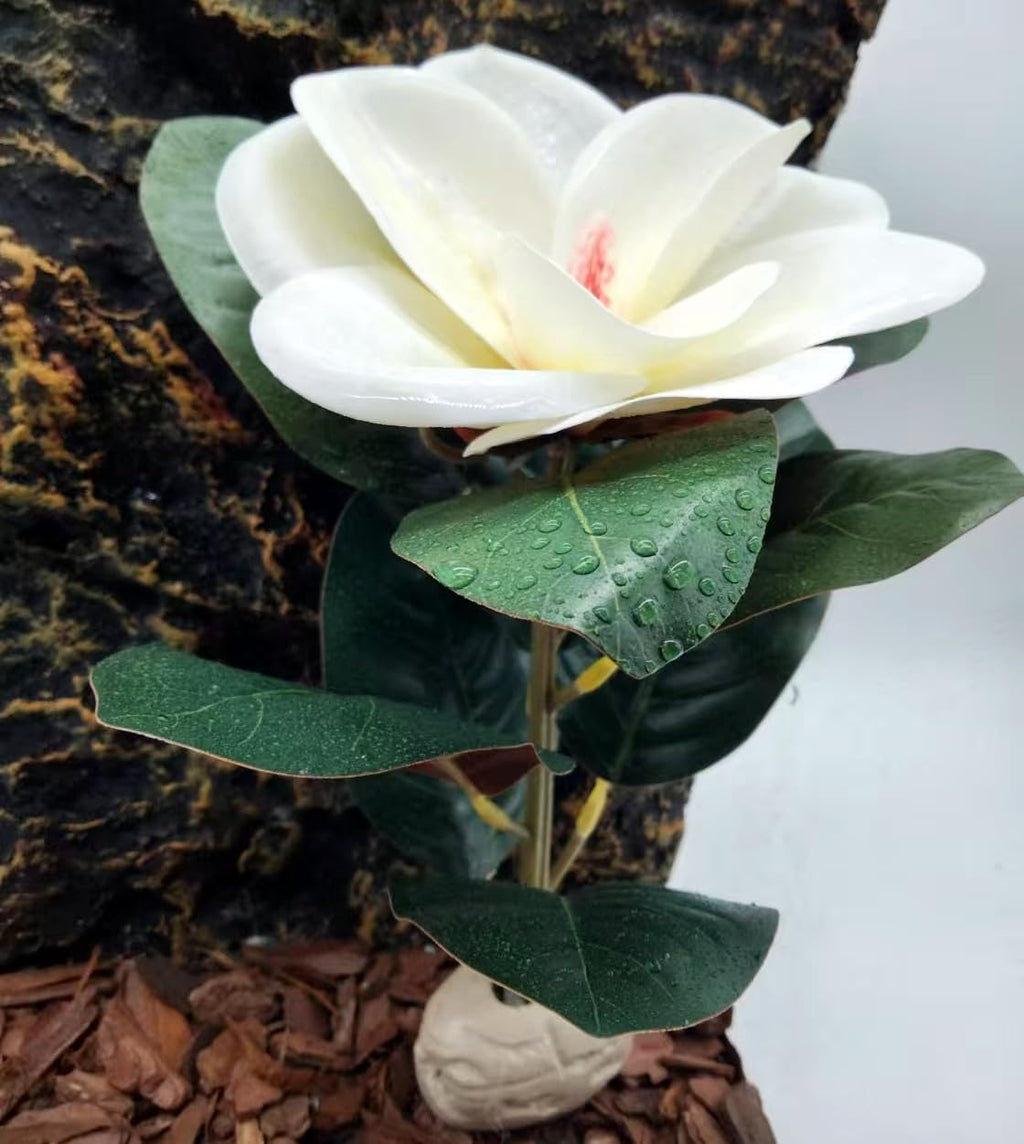 Reptile Plants Terrarium Reptile Tank Decorations for Bearded Dragon Lizard Snake Geckos Chameleon Amphibian Habitat Terrarium Decor (White)
