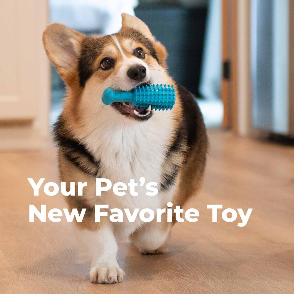 Oxyfresh Dog Dental Chew Toy - Best Durable Rubber Dog Toy & Puppy Teething Toy - Helps Remove Plaque, Cleans Teeth & Freshens Breath Without Brushing (Small)