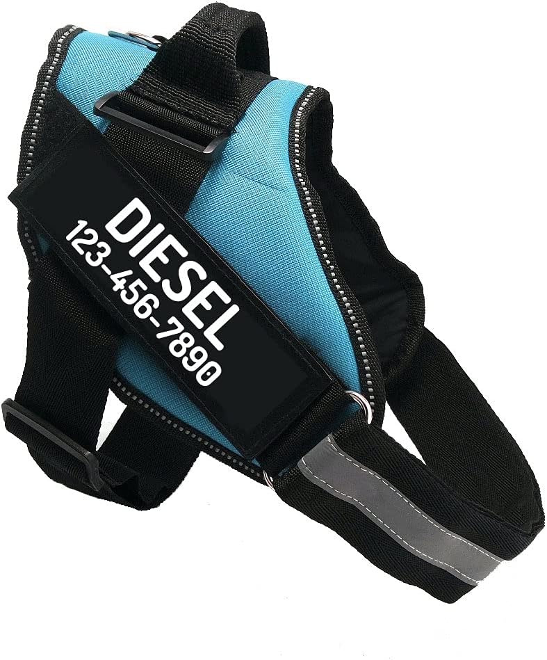 PawPawify Custom No Pull Dog Harness with Name and Phone Number, Heavy Duty Personalized Pet Vest to Prevent Tugging, Pulling, or Choking, Training and Walking (SkyBlue, XL (60-85 LBS))