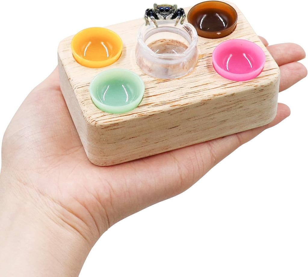 Jumping Spider Accessories, Plastic Feeding Bowl Set with Wooden Base for Food and Water, Mini Bowls, Jumping Spider Feeding Cups, Tarantula Enclosure Accessories