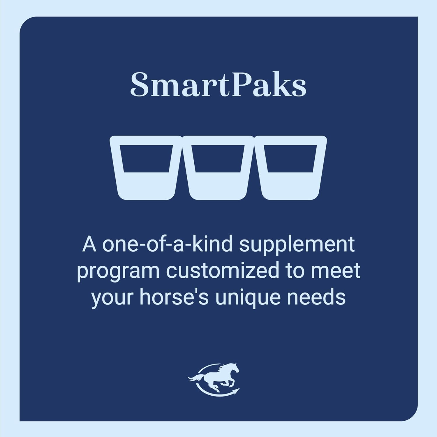 Senior Support SmartPak | Prebiotics and Probiotics | Turmeric Supplement | Flax Seed for Skin & Coat Health | Antioxidant Support for Senior Horses | 28 Days Supply