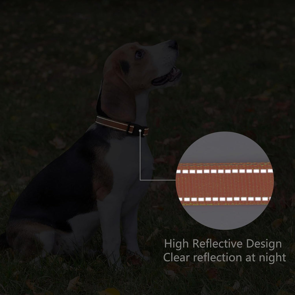 Reflective Dog Collar Padded with Soft Neoprene Breathable Quick Release Basic Dog Collars for Medium Large Dogs Orange