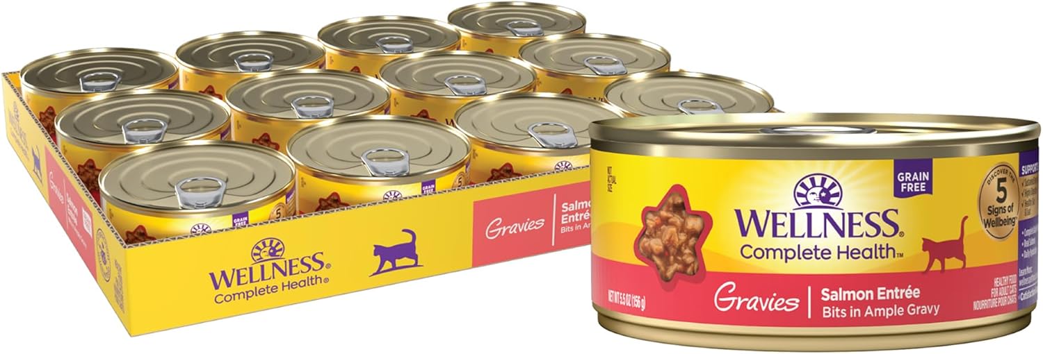 Wellness Complete Health Gravy Adult Wet Cat Food, Natural, Protein-Rich, Grain Free, 5.5 Ounce, 12 Pack, (Salmon Entree)