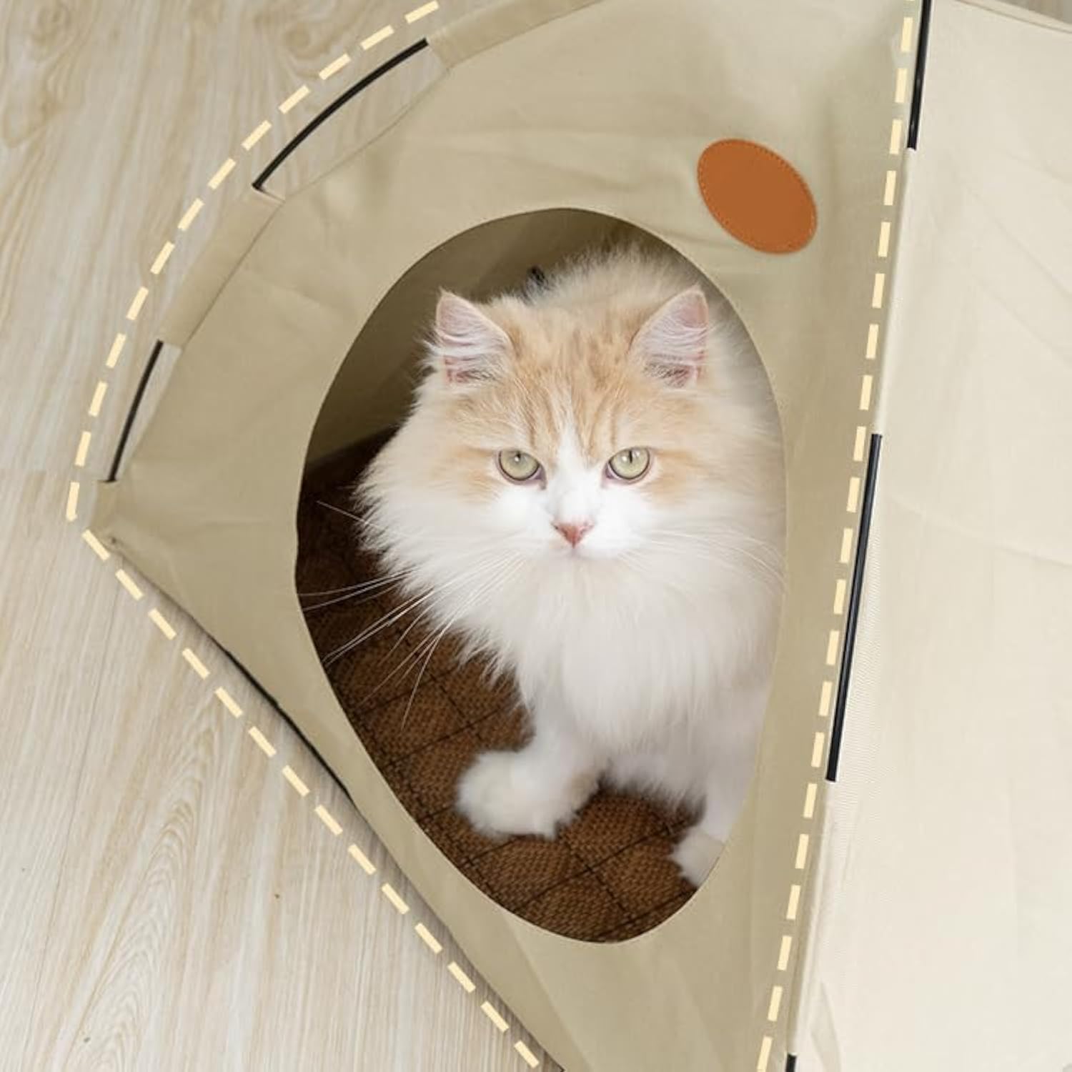BreezyDen Pop-Up Pet Tent – Portable Indoor/Outdoor Cat Tent, Waterproof Pet Hideaway for Cats & Small Dogs with Mesh Window, Anti-Slip Base & Washable Design (Dark Gray, M (8 catties Kitten))