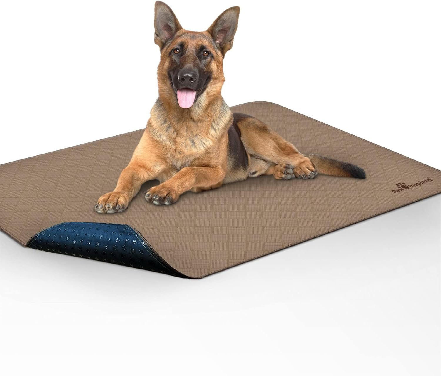 Paw Inspired Washable Pee Pads for Dogs, Leakproof, Non-Slip Reusable Puppy Pads for Potty Training, Whelping, Waterproof Mat (48x60 Inch, Pack of 1)