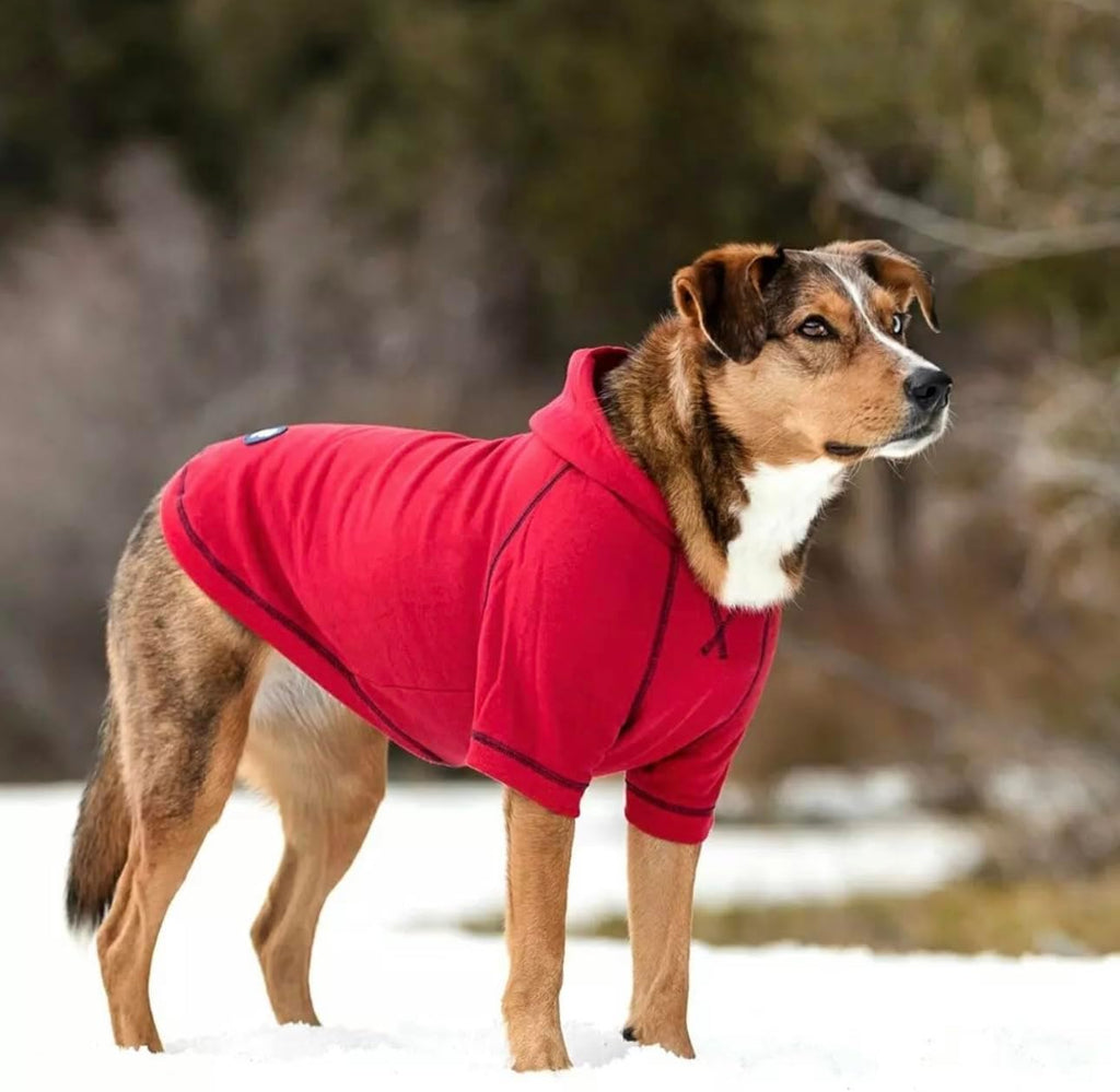 Blueberry Pet Essentials Hoodie – 12″ Soft French Terry Sweatshirt with Hood, Red, Award‑Winning Small‑Dog Jersey