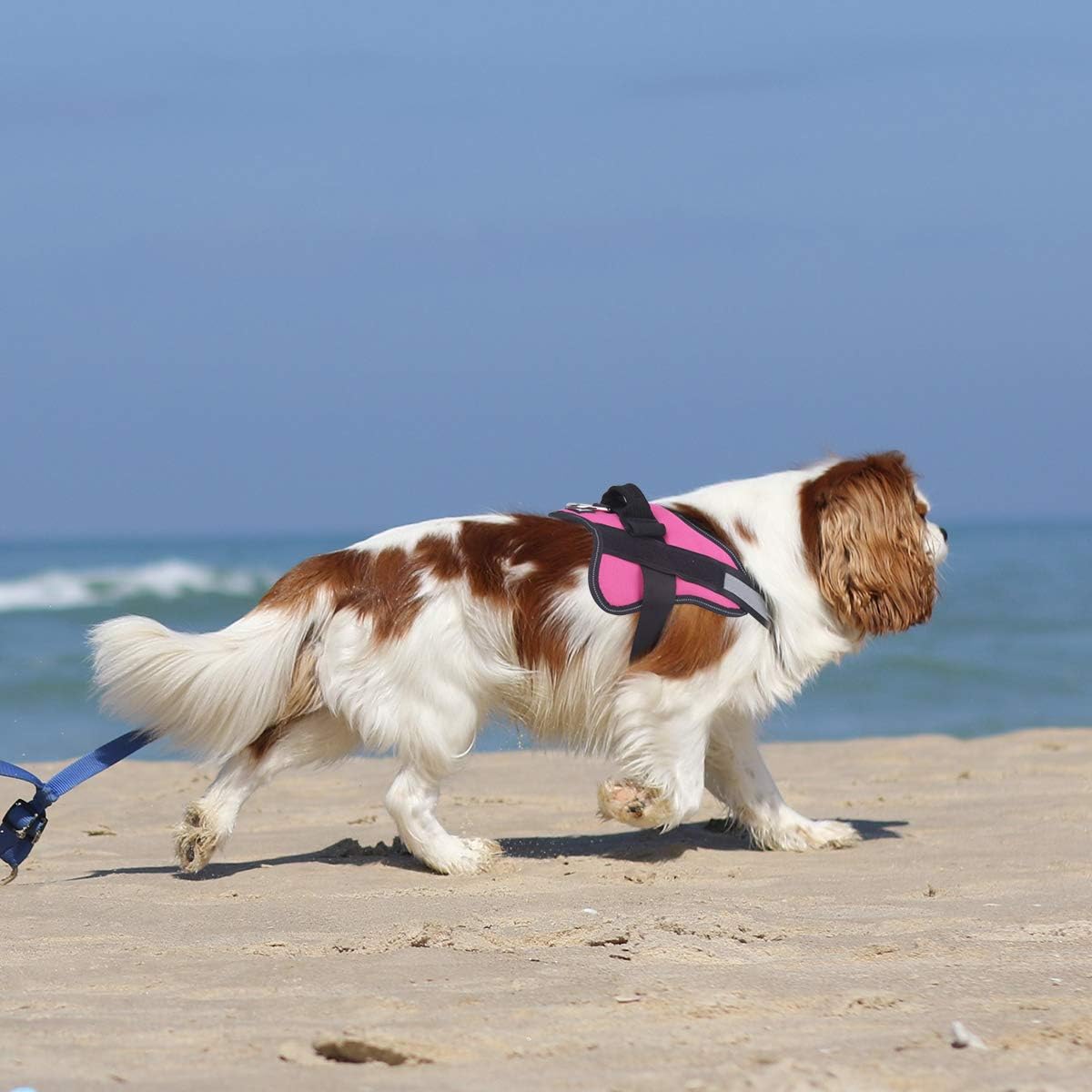 Bolux Dog Harness, No-Pull Reflective Dog Vest, Breathable Adjustable Pet Harness with Handle for Outdoor Walking - No More Pulling, Tugging or Choking (Rose red, L)