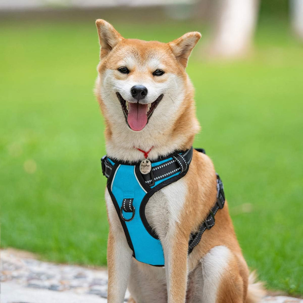 PoyPet No Pull Dog Harness, Reflective Comfortable Vest Harness with Front & Back 2 Leash Attachments and Easy Control Handle Adjustable Soft Padded Pet Vest for Small to Large Dogs (Blue,L)