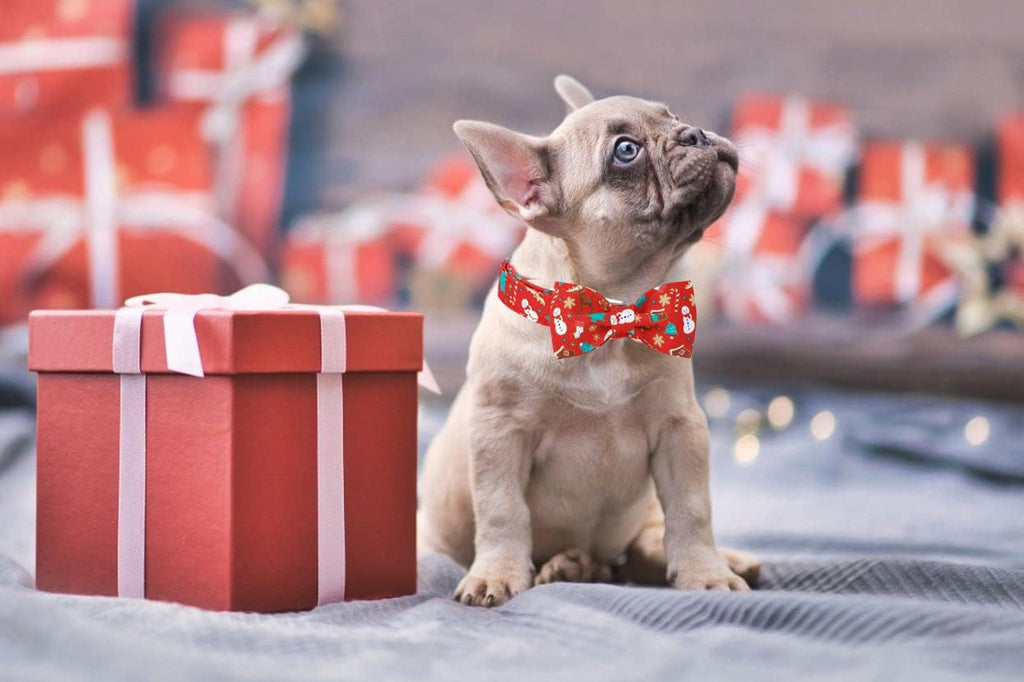 Lionet Paws Christmas Dog Collar with Bowtie, Dog Bowtie Collar with Metal Buckle for Dogs, Adjustable Comfortable Dog Collar Girl Boy Gift, M, Neck 13.5-22 in