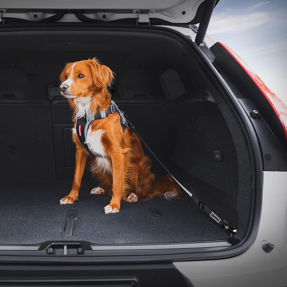 EzyDog Click ISOFIX Cargo - Dog Seat Belt Car Harness Attachment for Dogs - Adjustable Dog Restraints Seatbelts for Car Travel and Safety - (24in - 40in, Black)