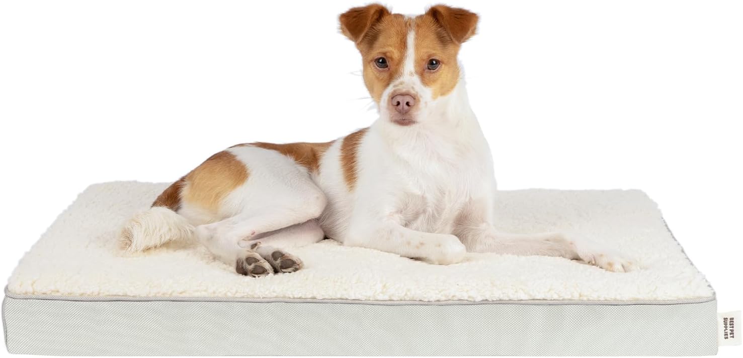 Best Pet Supplies Cute Dog Crate Mat Flat Bed with Waterproof Exterior, Thick Orthopedic Egg Foam Mattress, and Soft Sherpa Fleece Cover for Small, Medium, and Large Breeds - Beige, 35X22X4