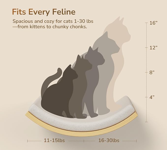 Cat Window Perches, Curved Cat Wall Beige Bed and 2 Floating Wall Steps - Image 6