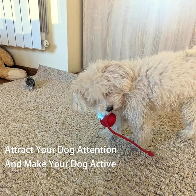 Valentines Day Gifts 2025 New Electric Dog Ball Toy, Electric Ball Dog Toy - Image 6