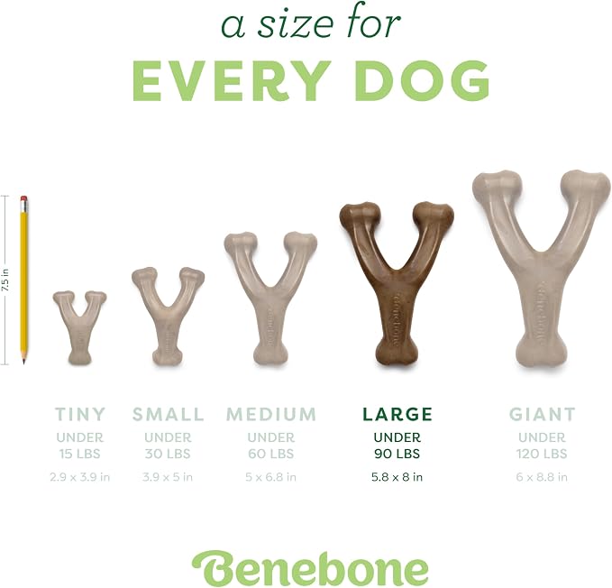 Benebone 2-Pack Wishbone Durable Dog Chew Toy - Image 4