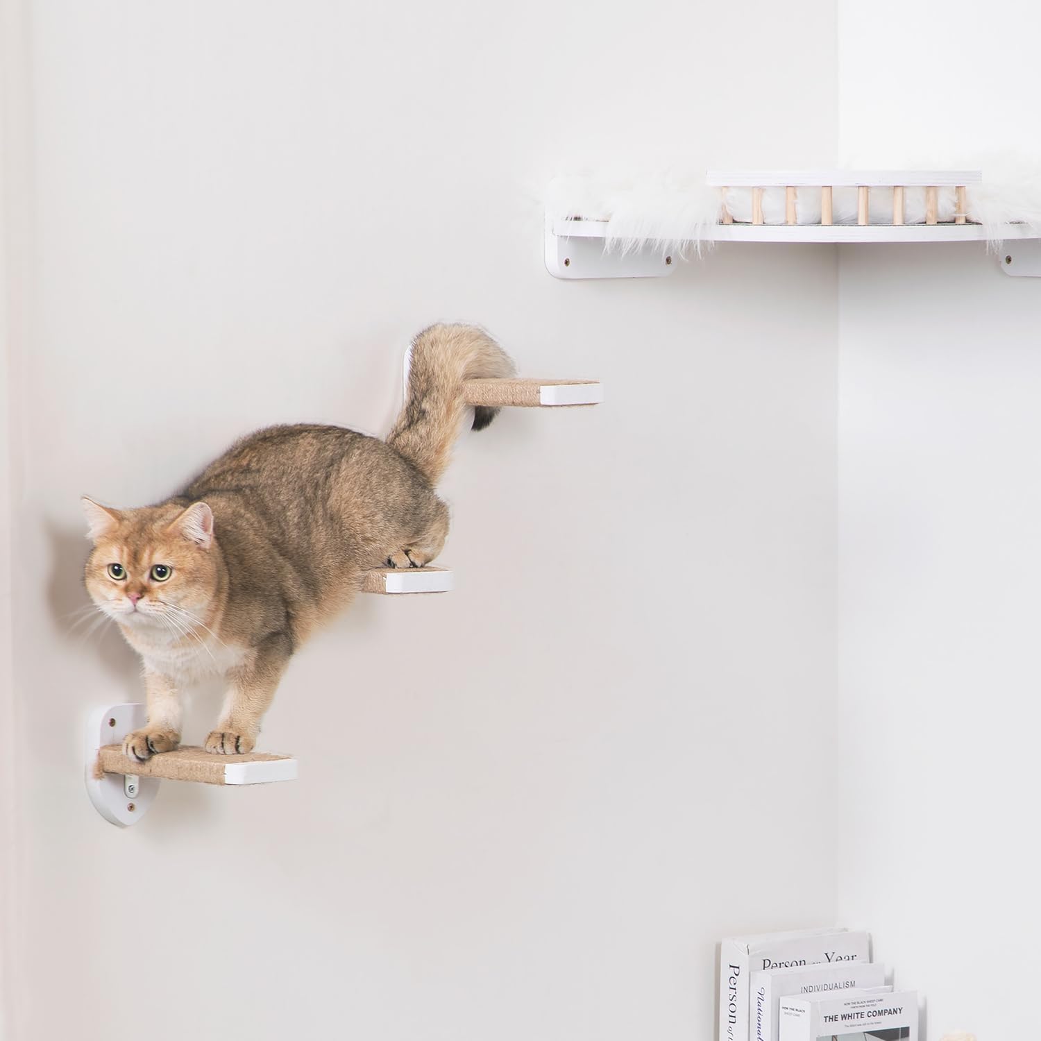 3-in-1 Cat Wall Steps with Hemp Rope, Solid Wood Cat Ladder for Climbing and Playing (Large-White)
