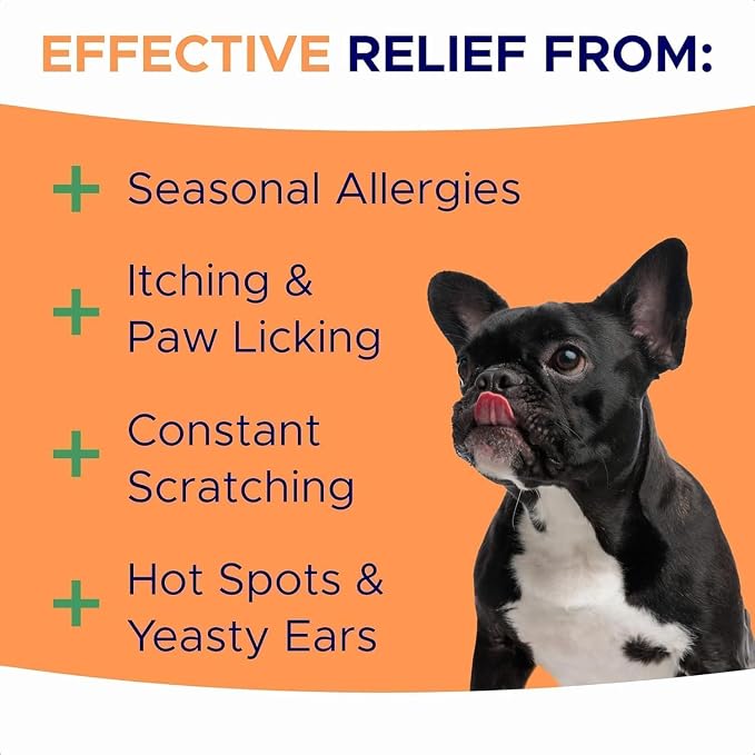 Dog Allergy Relief Chews — Anti-Itch Skin & Coat Supplement: No Fillers - Image 2
