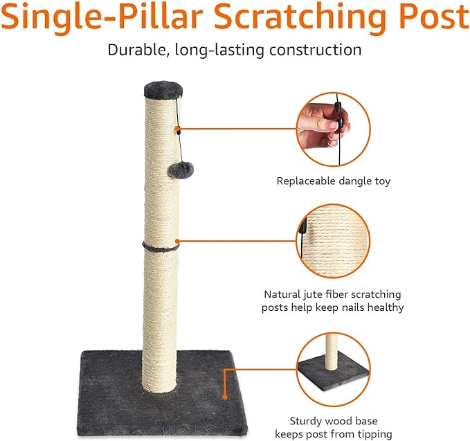 Amazon Basics Cat Scratching Post - Image 2