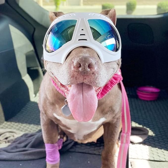 Namsan Dog Goggles for Large Dogs, Wide Snout & Soft Frame, Tactical Driving - Image 7