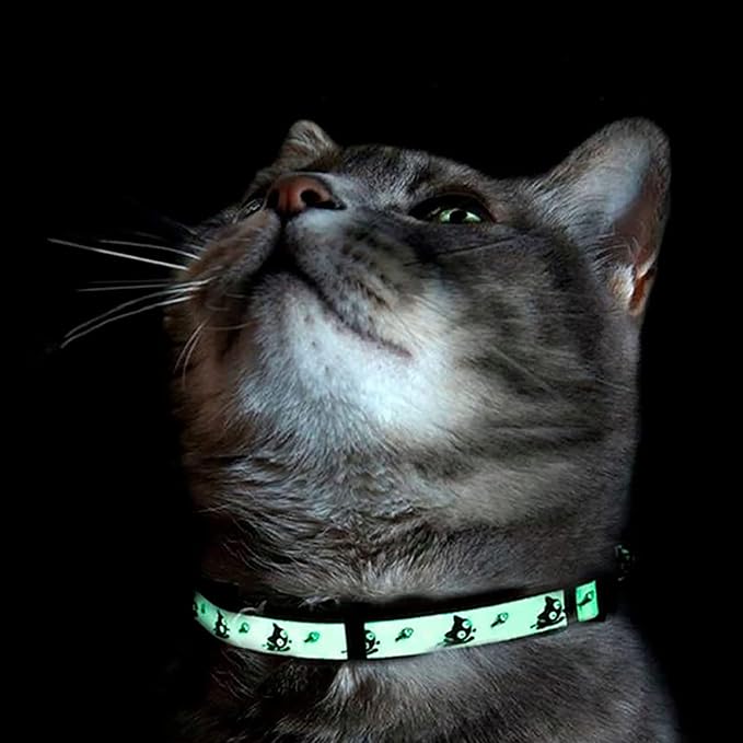 Pawtitas Glow in The Dark Cat Collar - Image 8