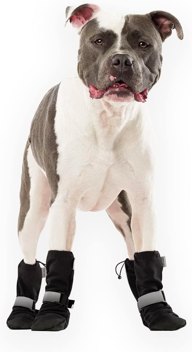 Canada Pooch Dog Winter Boots - Paw Protection, Anti-Slip Dog Shoes with Reflective Strap, Easy On for Small Medium Large Dog Booties - Black, Size 2