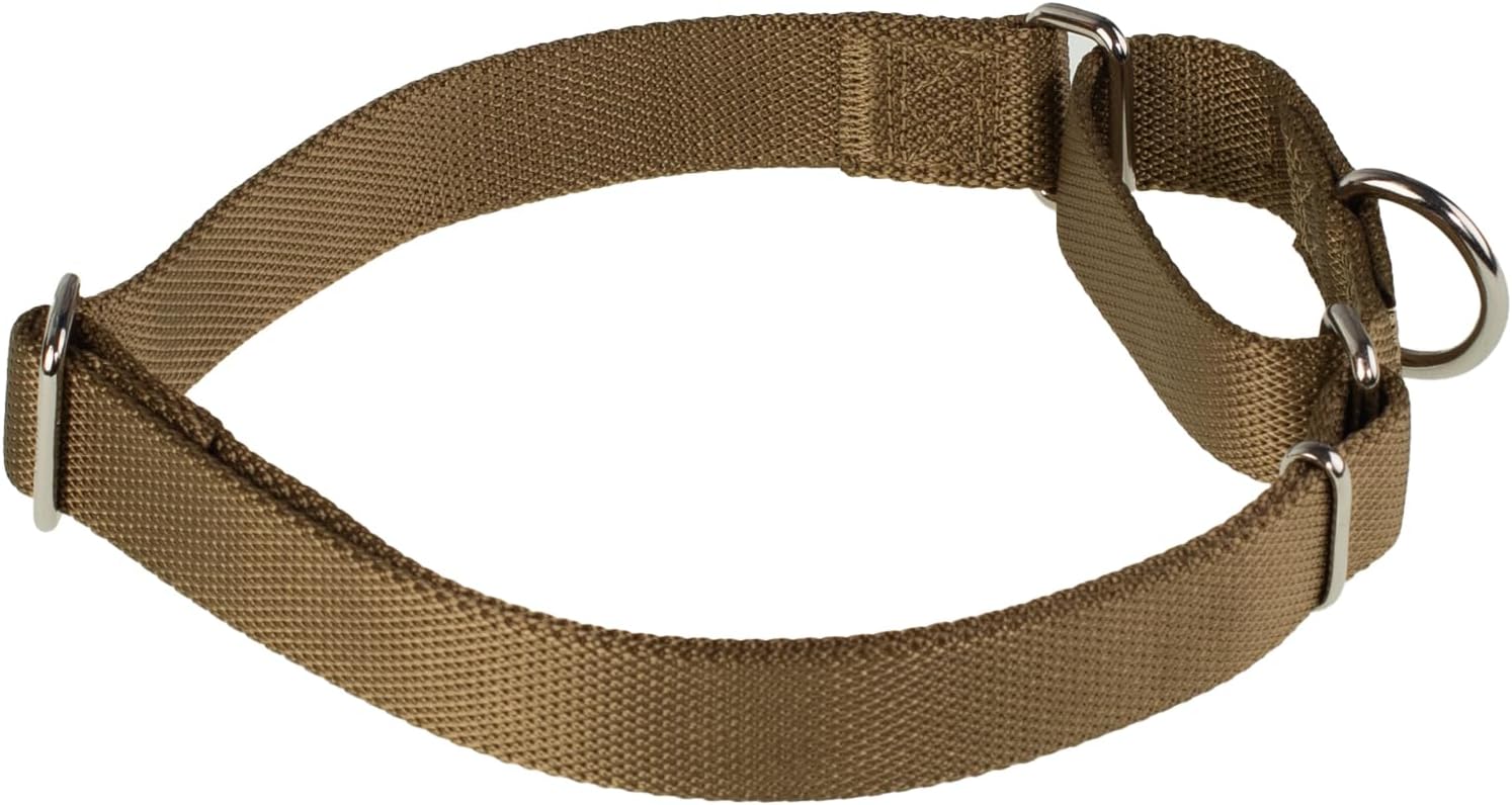 Hyhug Pets Premium Upgraded Heavy Duty Nylon Anti-Escape Martingale Collar for Boy and Girl Dogs Comfy and Safe - Professional Training, Daily Use Walking. (Army Yellow, Medium)