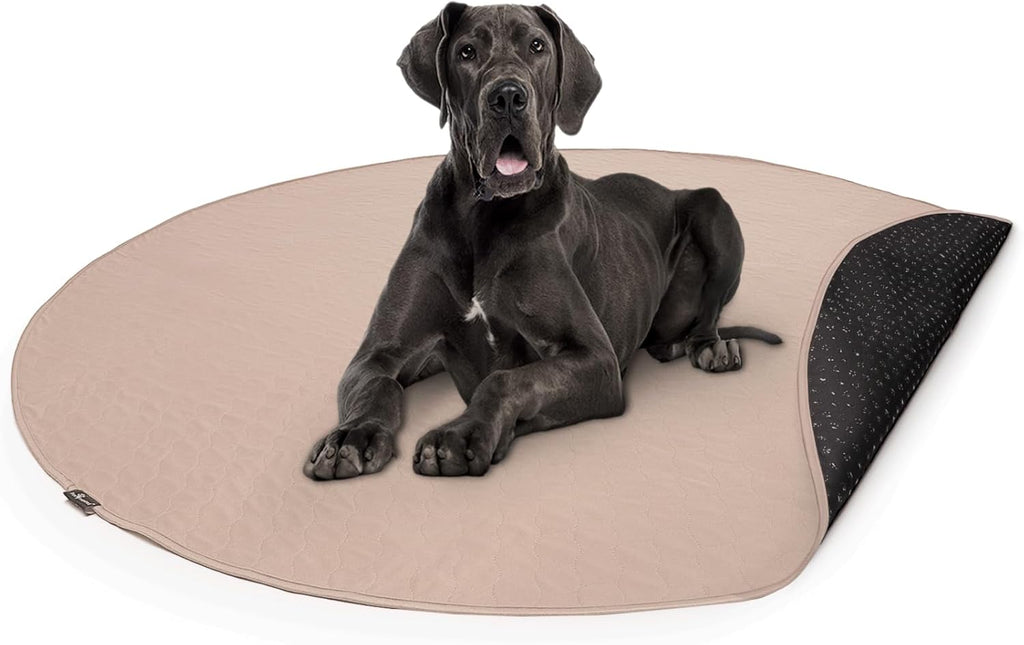 Paw Inspired Round Washable Pee Pad for Dogs | Reusable Puppy Pad for Potty Training, Whelping, Waterproof Mat | Leakproof, Non-Slip Liner (72" Extra Large Size, 1 Pack)